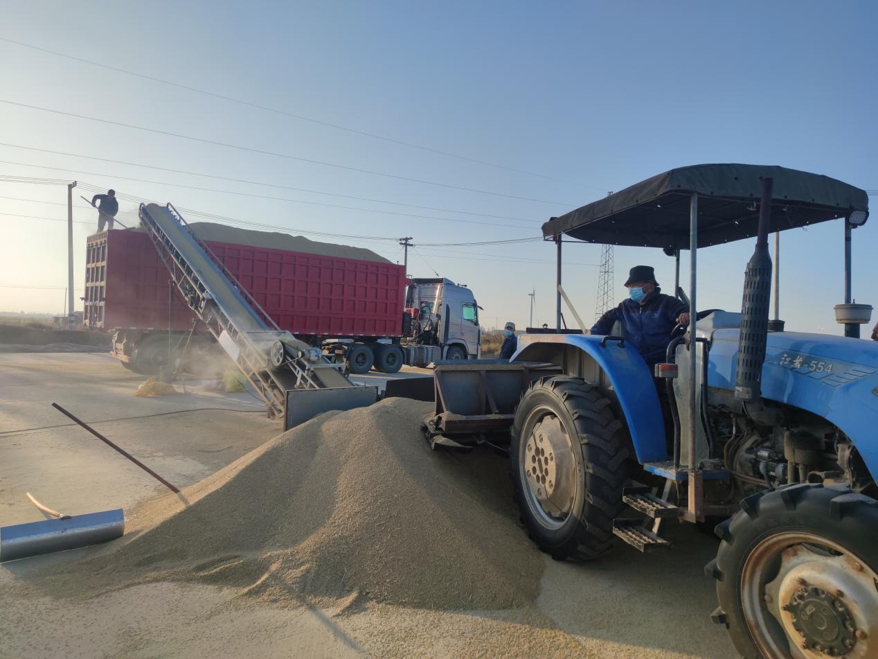 廂式運輸車輛為糧食安全暢通收購建立保障.jpg