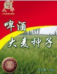 江蘇省大華種業(yè)集團有限公司簡介1.jpg